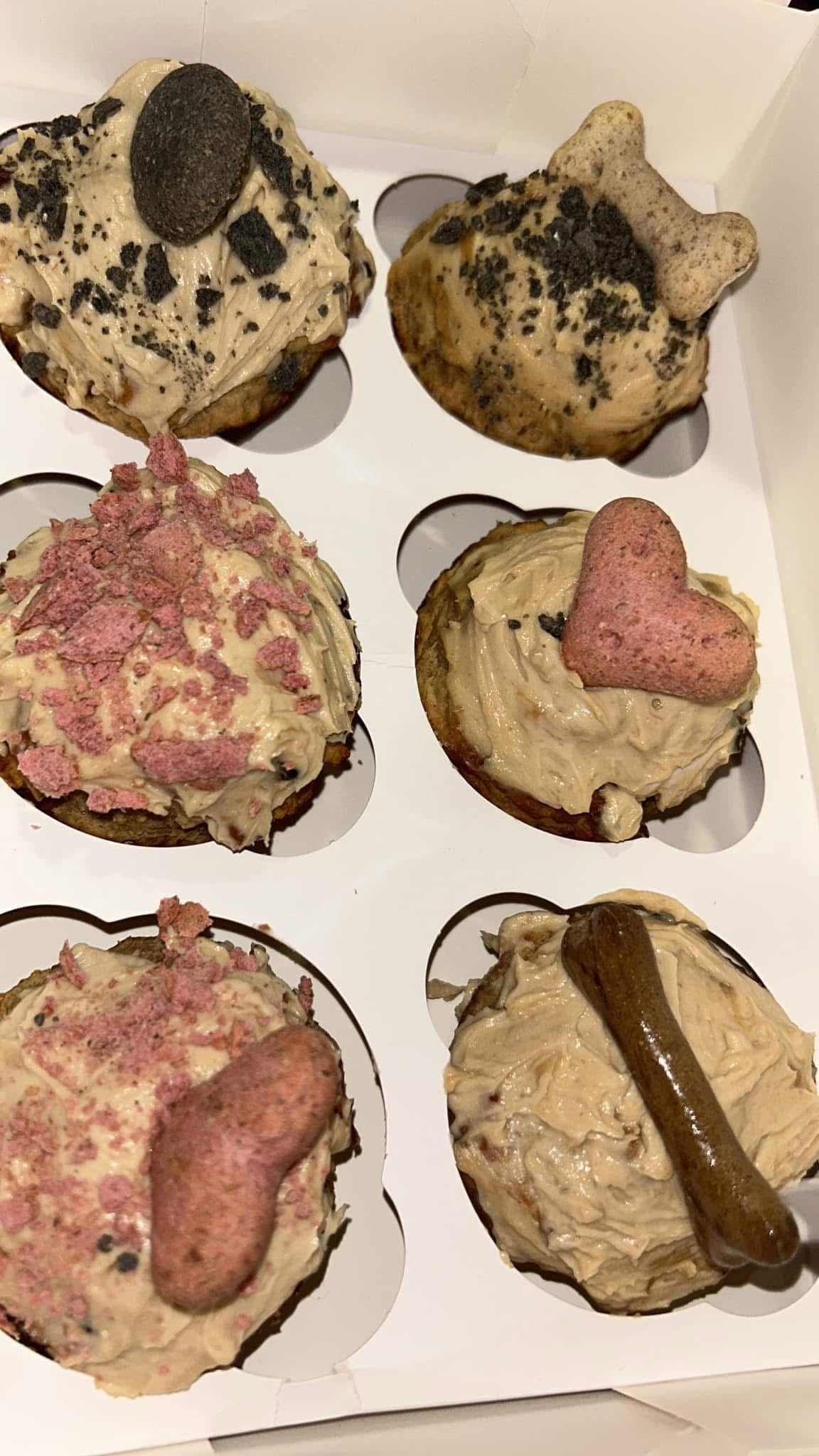 Doggy pupcakes (6)